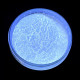 Pigmenții Fluorescenți UV 