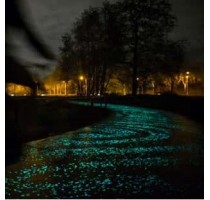 Drum luminescent și pistă pentru biciclete